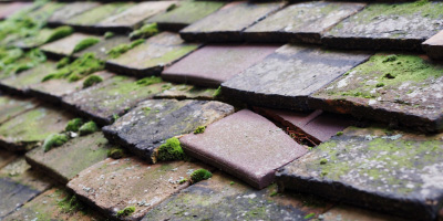 Llangefni roof repair costs